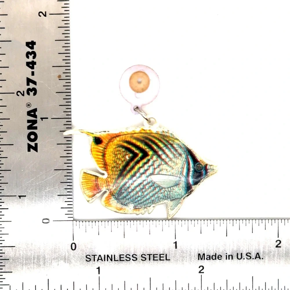 Tropical Bird Fish Earring Bundle Hand Painted Parrot Hoops Angelfish Posts